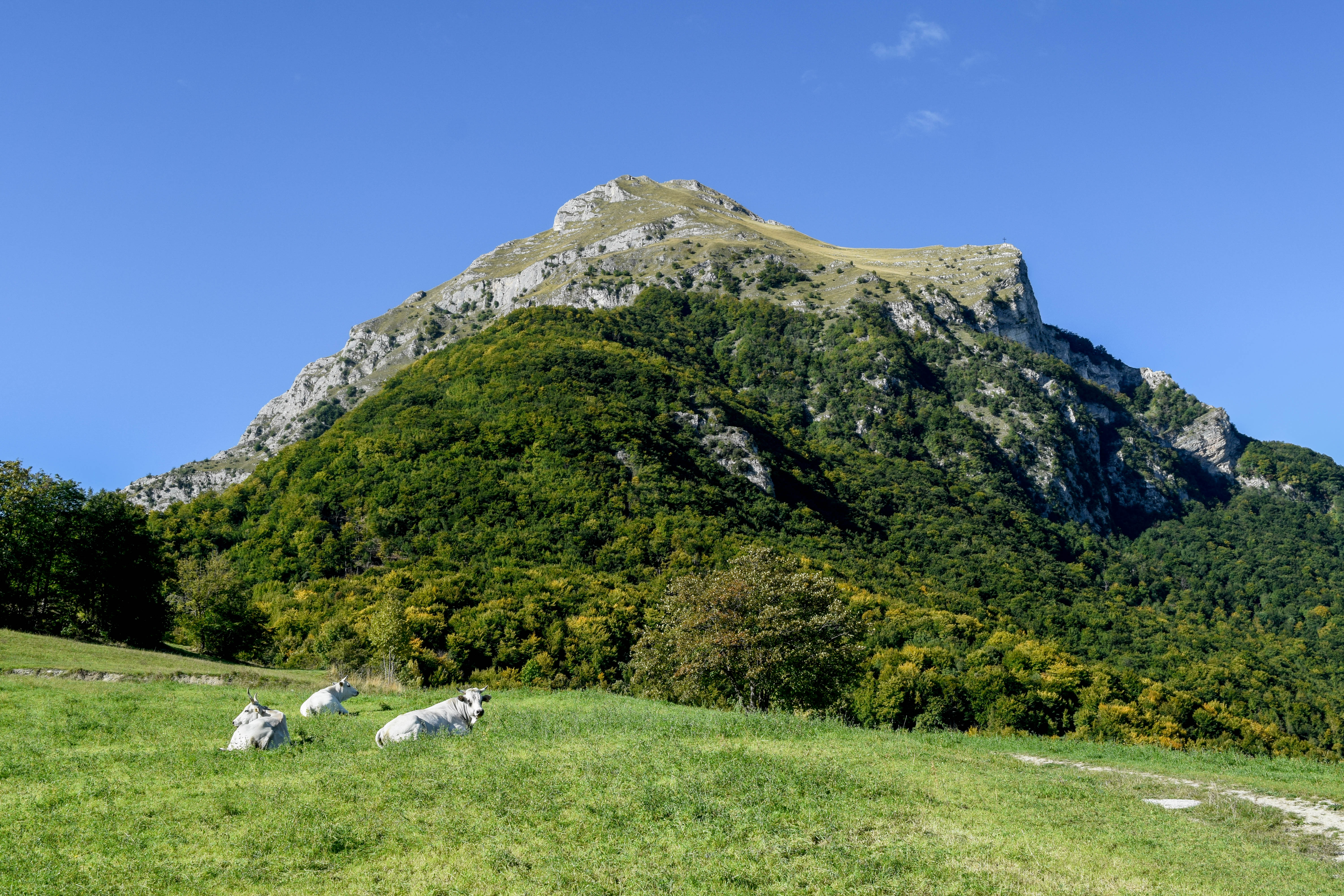 Punto panoramico - verso Monte Pizzo