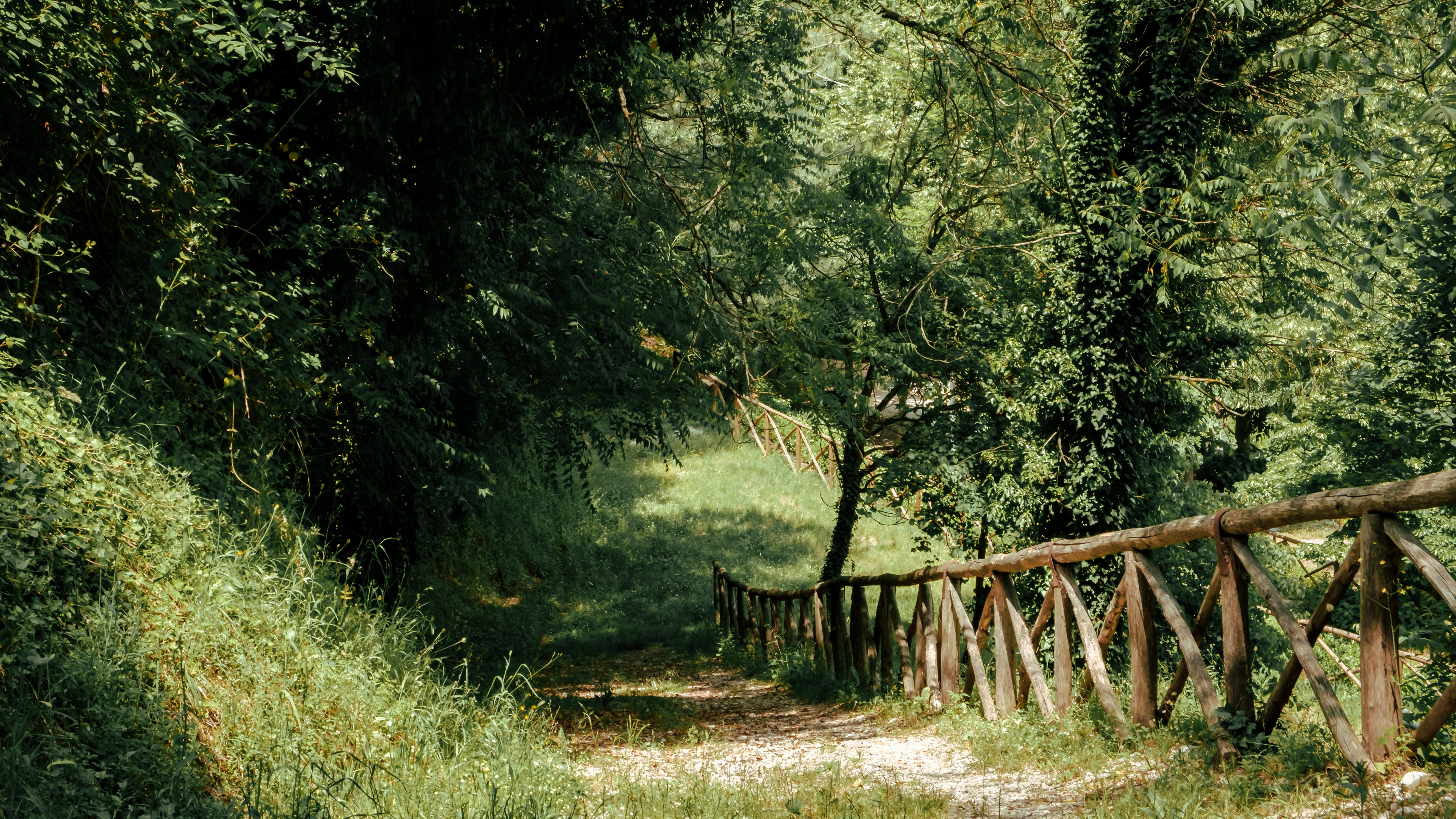 Cammino Francescano della Marca