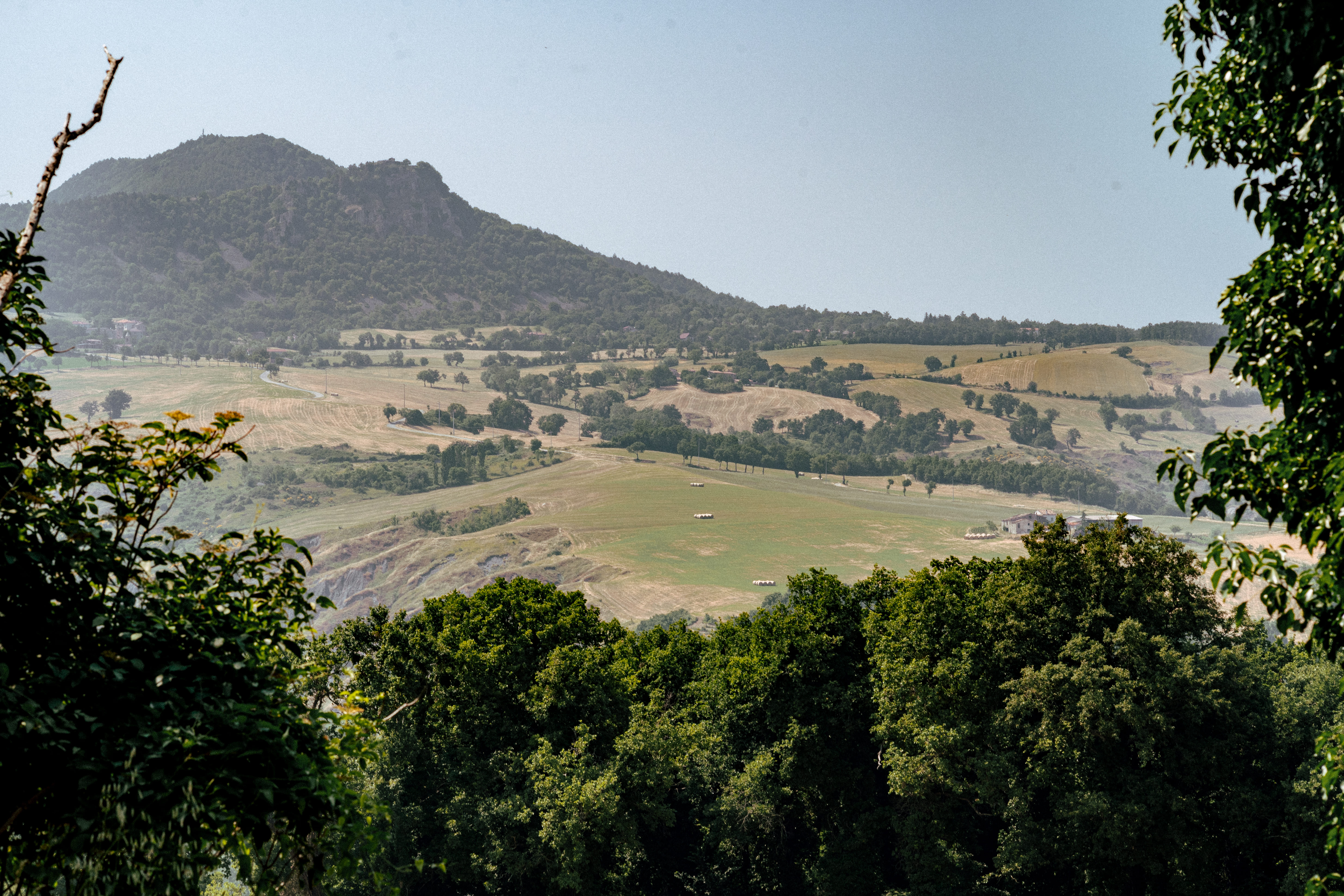 Bosco della Faggiola