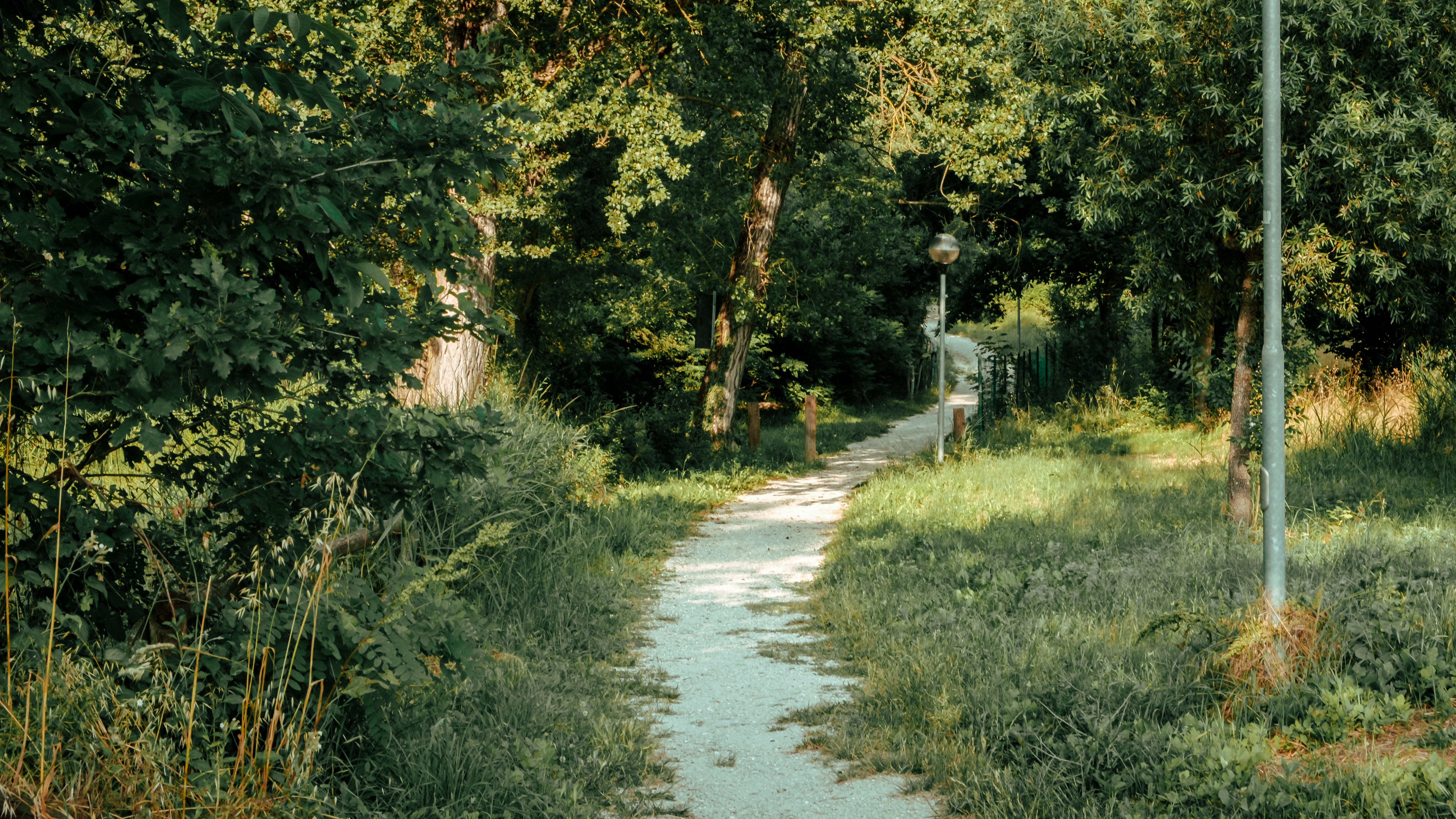 Percorso ecologico (PIL - I percorsi dell’esperienza alle origini del Montefeltro)