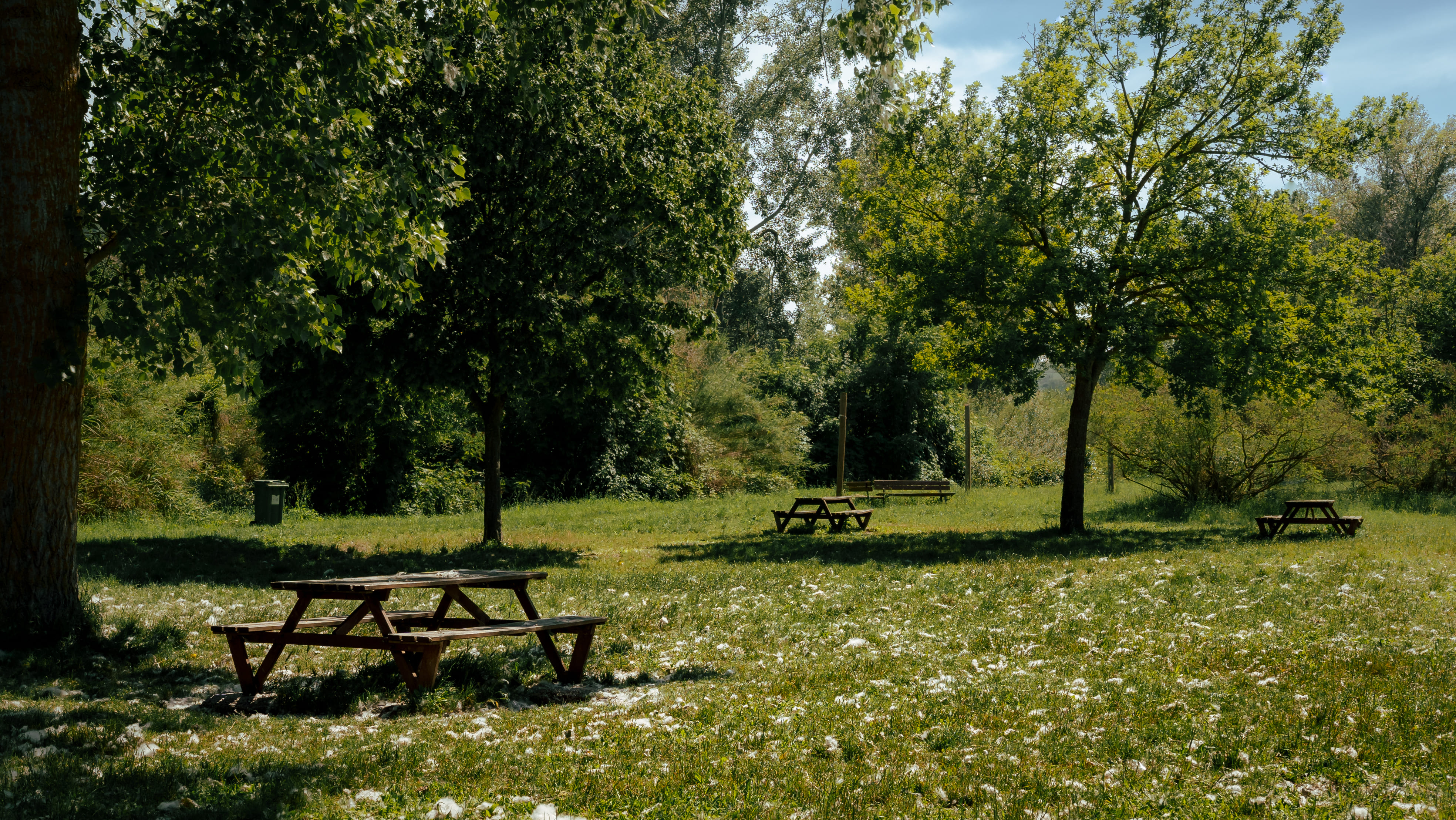 Parco fluviale Pineta lungo Tenna – pineta, ciclopedonale, ippovia